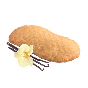 Urmasica